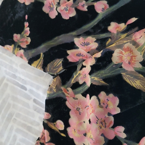 Dex Burnout Velvet Dress - Picture 9 of 14